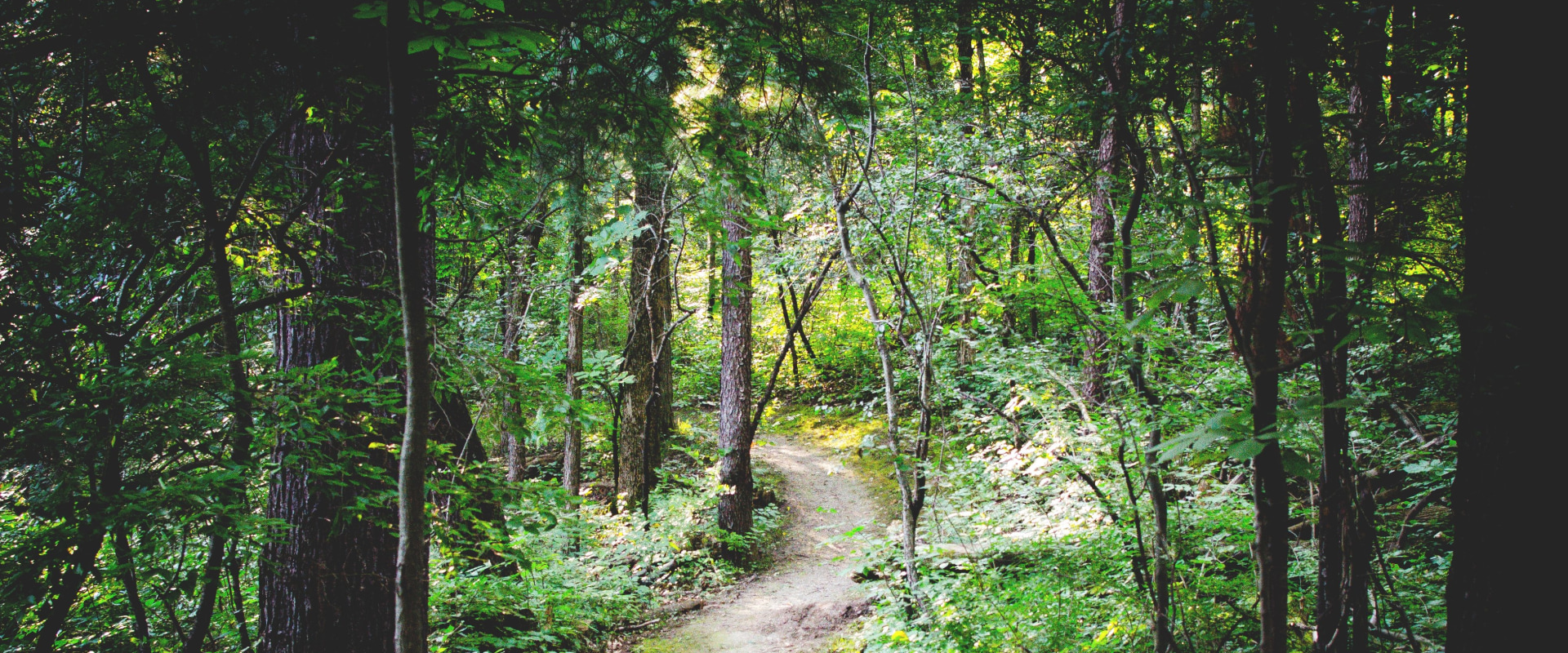 Understanding Paid Trail Resources