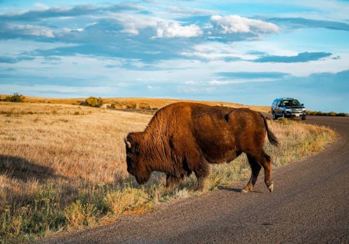 User-generated Road Trip Resources